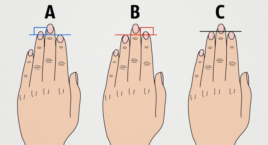 Что расскажет нам длина пальцев