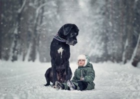 Энди Селиверстов дети и собаки